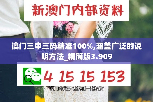 澳门三中三码精准100%,涵盖广泛的说明方法_精简版3.909