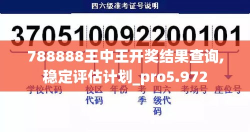 788888王中王开奖结果查询,稳定评估计划_pro5.972