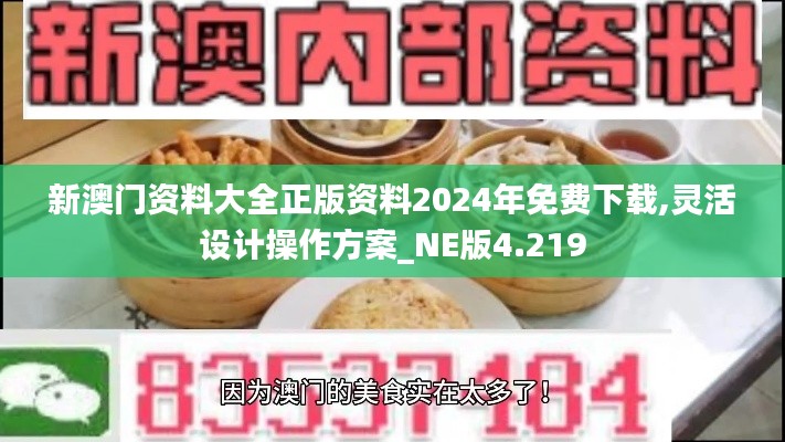 新澳门资料大全正版资料2024年免费下载,灵活设计操作方案_NE版4.219