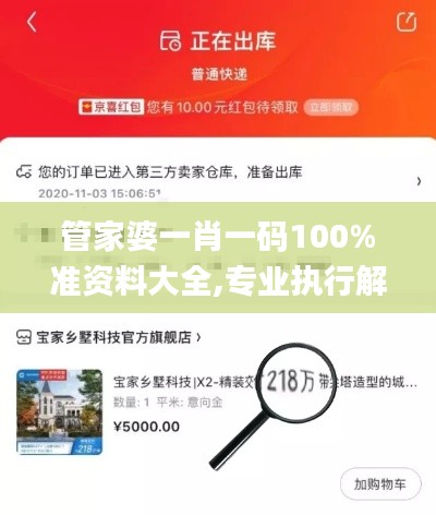 管家婆一肖一码100%准资料大全,专业执行解答_OP4.218