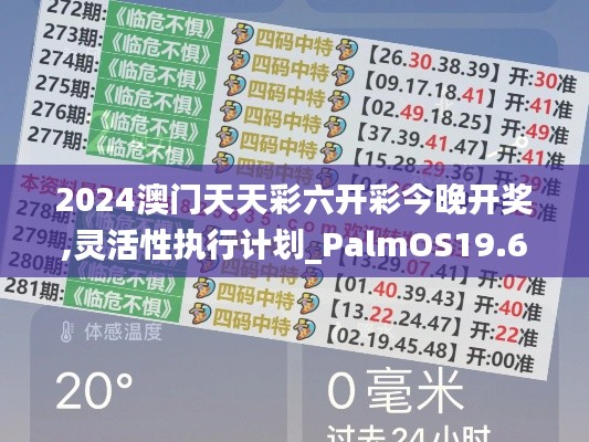 2024澳门天天彩六开彩今晚开奖,灵活性执行计划_PalmOS19.654