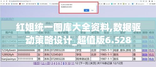 红姐统一图库大全资料,数据驱动策略设计_超值版6.528