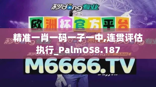 精准一肖一码一子一中,连贯评估执行_PalmOS8.187