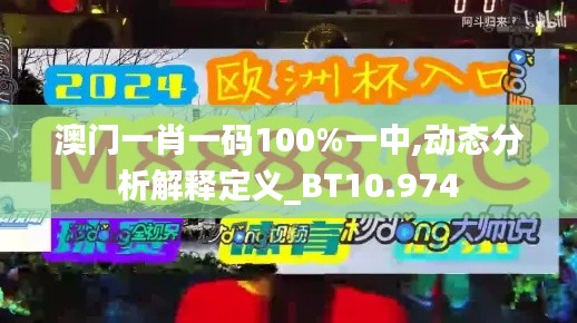 澳门一肖一码100%一中,动态分析解释定义_BT10.974