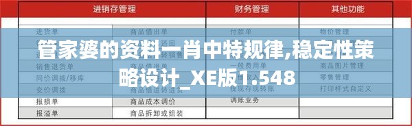 管家婆的资料一肖中特规律,稳定性策略设计_XE版1.548