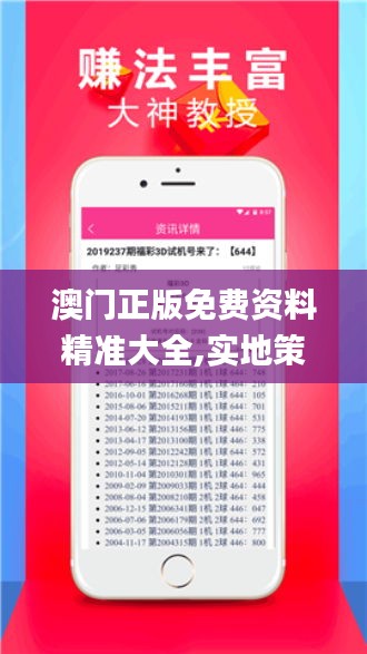 澳门正版免费资料精准大全,实地策略计划验证_android8.507