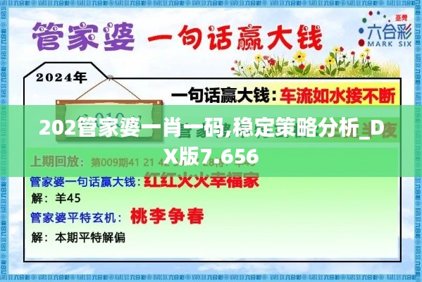 202管家婆一肖一码,稳定策略分析_DX版7.656