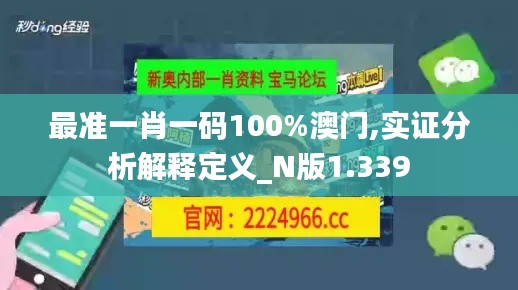 最准一肖一码100%澳门,实证分析解释定义_N版1.339