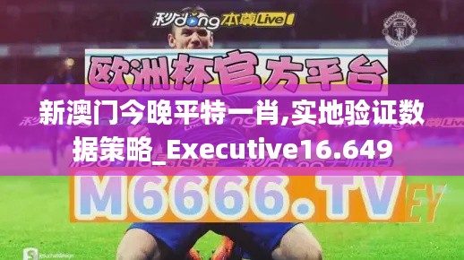 新澳门今晚平特一肖,实地验证数据策略_Executive16.649