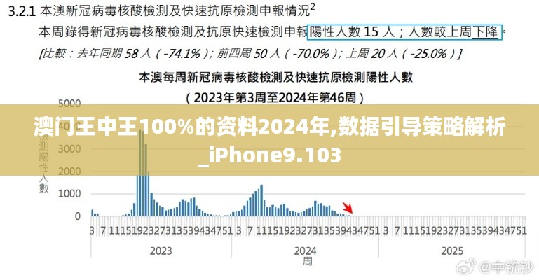 澳门王中王100%的资料2024年,数据引导策略解析_iPhone9.103