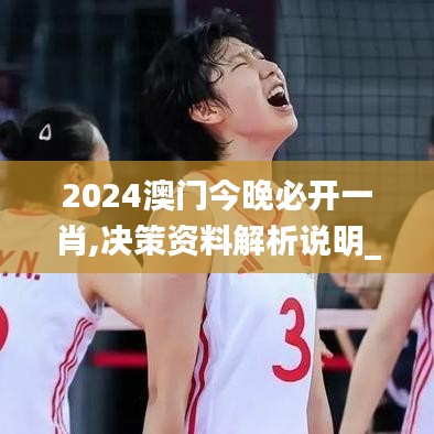 2024澳门今晚必开一肖,决策资料解析说明_薄荷版2.129