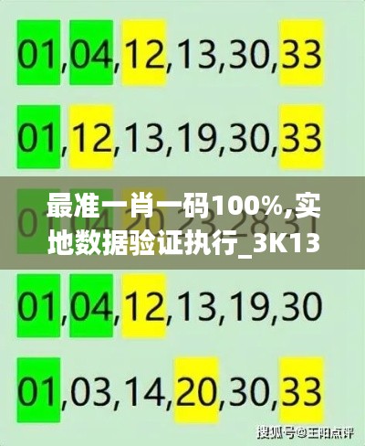 最准一肖一码100%,实地数据验证执行_3K13.623