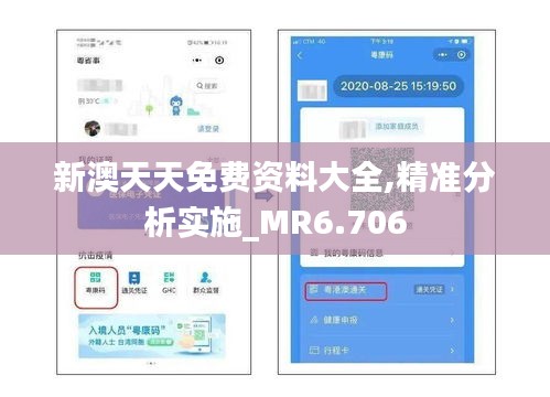 新澳天天免费资料大全,精准分析实施_MR6.706