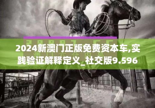 2024新澳门正版免费资本车,实践验证解释定义_社交版9.596