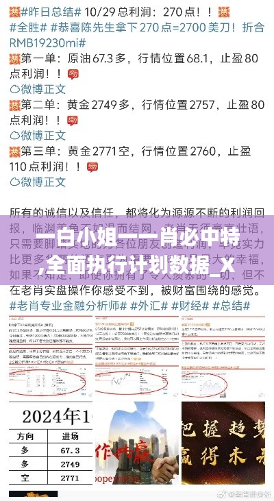 一白小姐一一肖必中特,全面执行计划数据_XR16.231