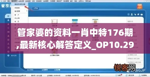 管家婆的资料一肖中特176期,最新核心解答定义_OP10.297