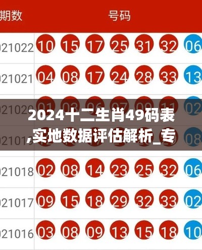 2024十二生肖49码表,实地数据评估解析_专属款11.594