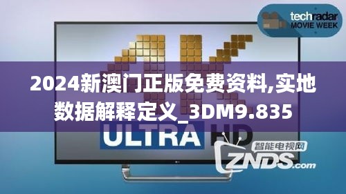 2024新澳门正版免费资料,实地数据解释定义_3DM9.835