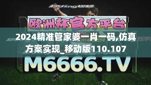 2024精准管家婆一肖一码,仿真方案实现_移动版110.107