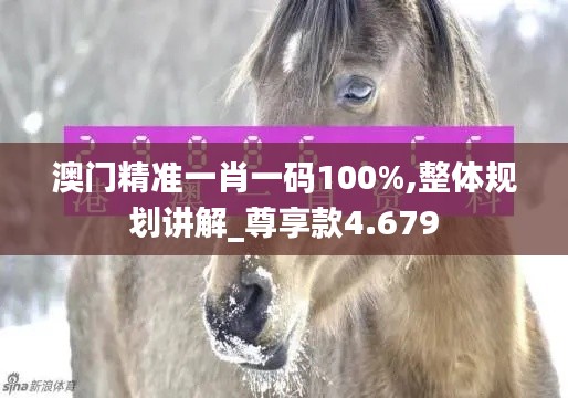 澳门精准一肖一码100%,整体规划讲解_尊享款4.679