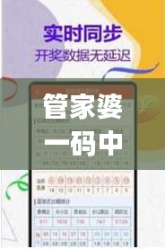 管家婆一码中一肖630集团,前沿评估解析_9DM10.446