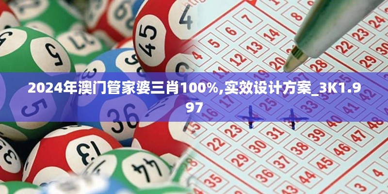 2024年澳门管家婆三肖100%,实效设计方案_3K1.997