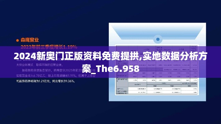 2024新奥门正版资料免费提拱,实地数据分析方案_The6.958