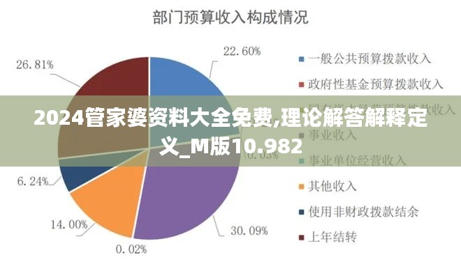 2024管家婆资料大全免费,理论解答解释定义_M版10.982