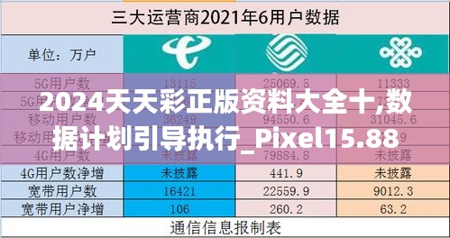 2024天天彩正版资料大全十,数据计划引导执行_Pixel15.889