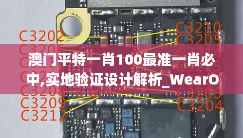 澳门平特一肖100最准一肖必中,实地验证设计解析_WearOS5.270