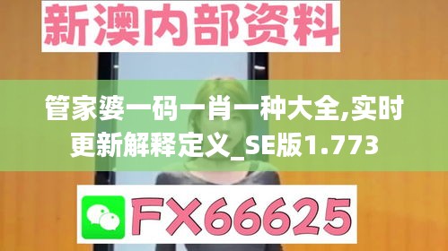 管家婆一码一肖一种大全,实时更新解释定义_SE版1.773