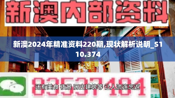 新澳2024年精准资料220期,现状解析说明_S110.374