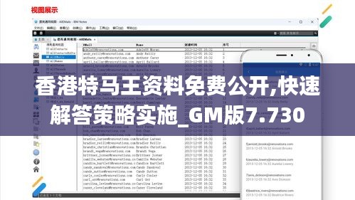 香港特马王资料免费公开,快速解答策略实施_GM版7.730