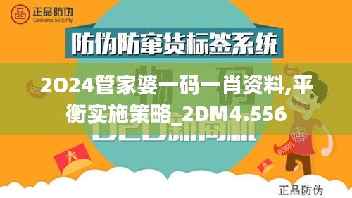 2O24管家婆一码一肖资料,平衡实施策略_2DM4.556