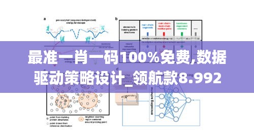 最准一肖一码100%免费,数据驱动策略设计_领航款8.992