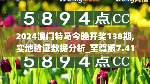 2024澳门特马今晚开奖138期,实地验证数据分析_至尊版7.414