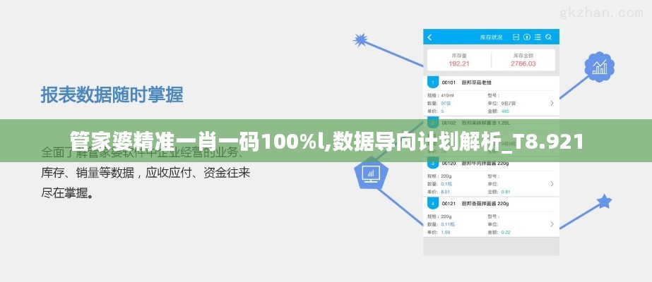 管家婆精准一肖一码100%l,数据导向计划解析_T8.921