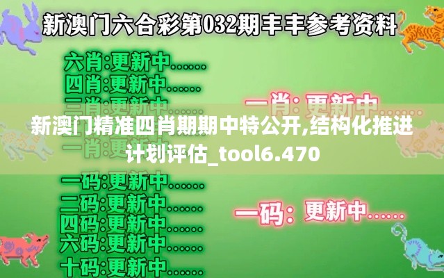 新澳门精准四肖期期中特公开,结构化推进计划评估_tool6.470