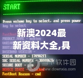 新澳2024最新资料大全,具体实施指导_CT3.139