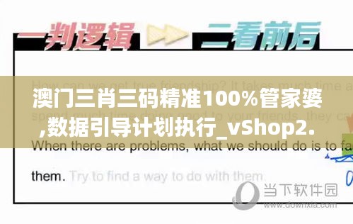 澳门三肖三码精准100%管家婆,数据引导计划执行_vShop2.164