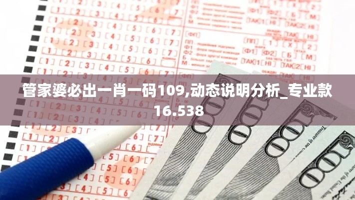 管家婆必出一肖一码109,动态说明分析_专业款16.538