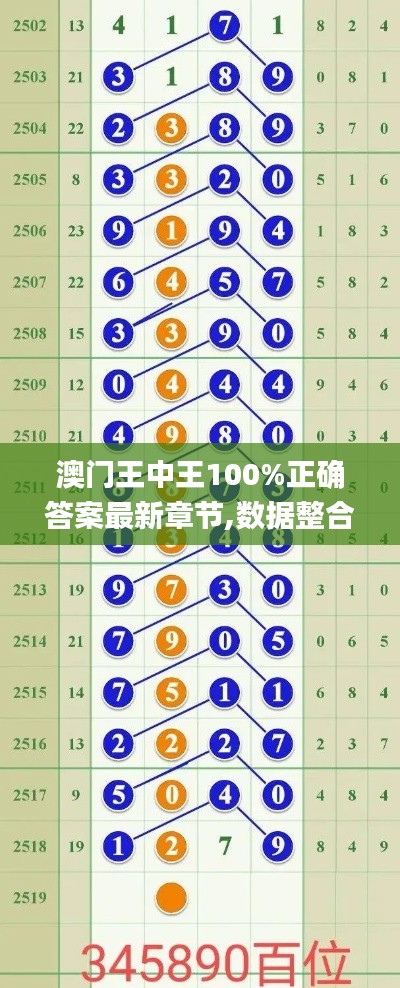 澳门王中王100%正确答案最新章节,数据整合方案设计_RemixOS2.449