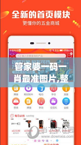 管家婆一码一肖最准图片,整体执行讲解_zShop7.246