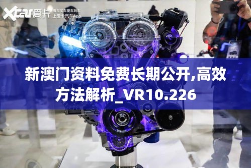 新澳门资料免费长期公开,高效方法解析_VR10.226