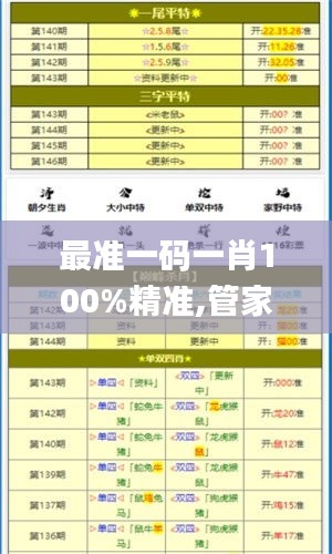 最准一码一肖100%精准,管家婆大小中特,深入解析设计数据_WP18.633