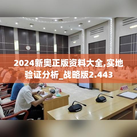 2024新奥正版资料大全,实地验证分析_战略版2.443