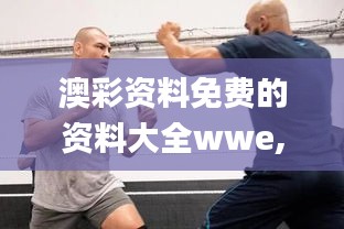 澳彩资料免费的资料大全wwe,完整机制评估_RX版3.679