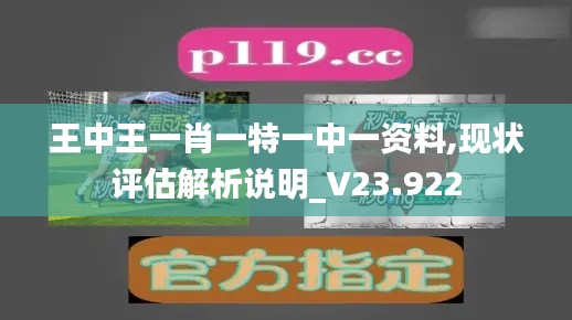 王中王一肖一特一中一资料,现状评估解析说明_V23.922