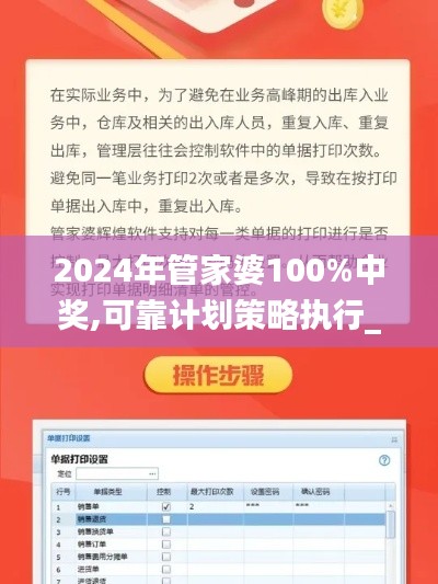 2024年管家婆100%中奖,可靠计划策略执行_基础版6.468