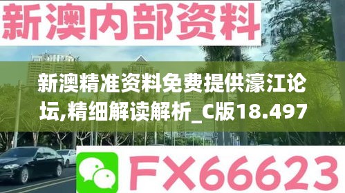 新澳精准资料免费提供濠江论坛,精细解读解析_C版18.497